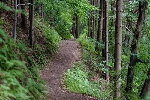 矿山香蕉污视频免费在线观看热点3