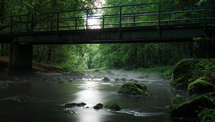 bridge-fog-mist-158742