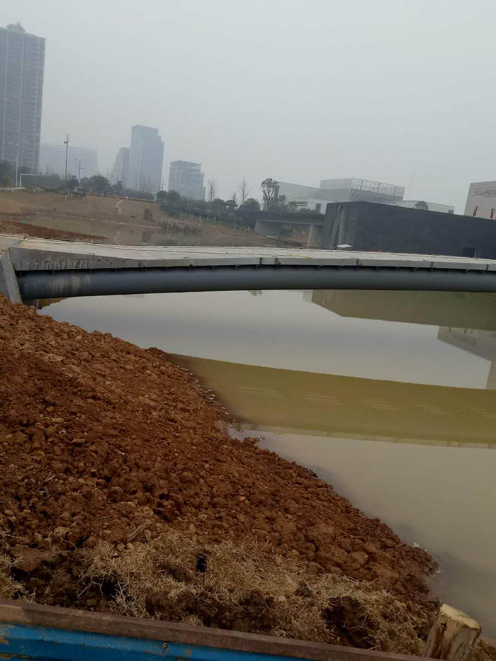 洋湖湿地生态香蕉污视频免费在线观看与保育工程